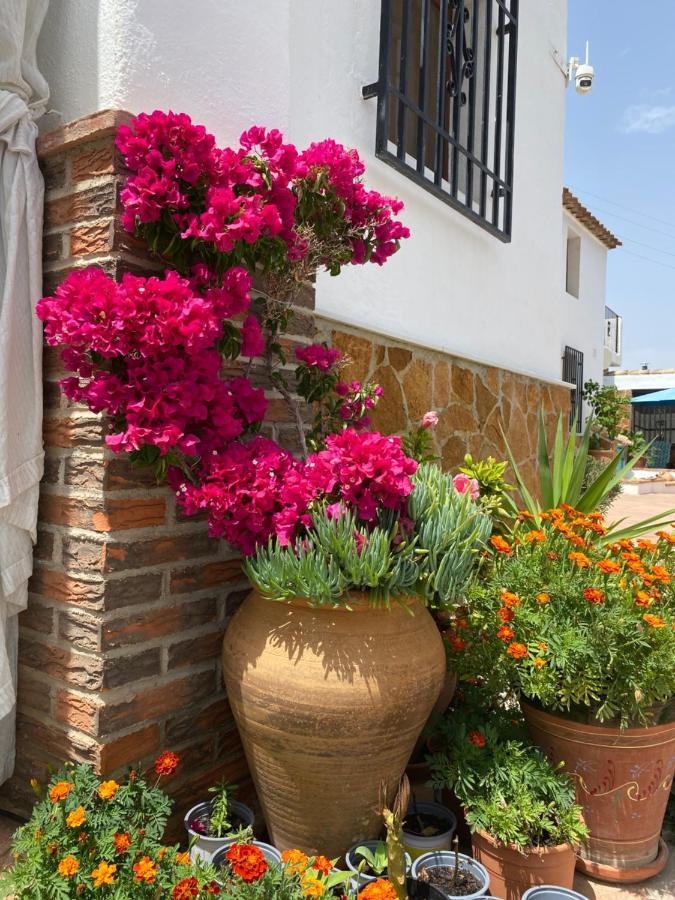 Апартаменты Cortijo Perejil, A Tranquil Mountain Escape & Private Pool Ория Экстерьер фото