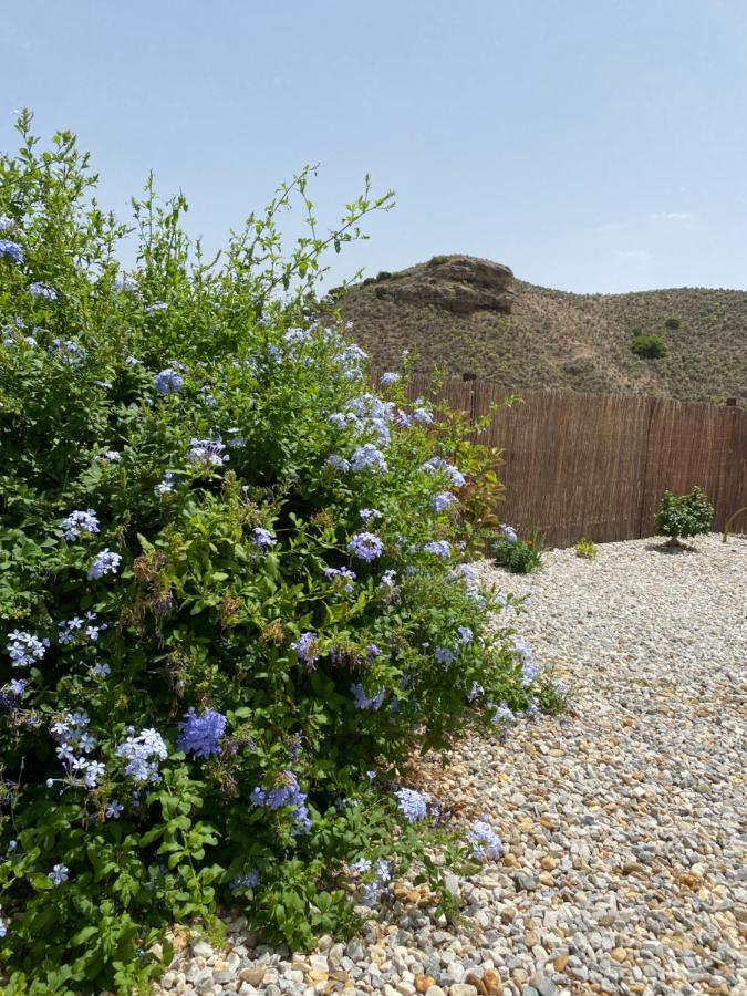 Апартаменты Cortijo Perejil, A Tranquil Mountain Escape & Private Pool Ория Экстерьер фото